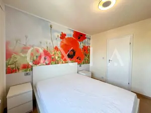 SX567 Take Ionescu, Ideal Investitie - imagine 5