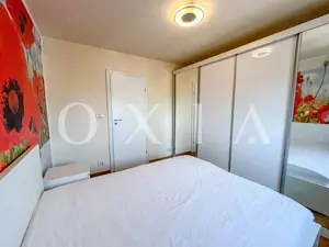 SX567 Take Ionescu, Ideal Investitie - imagine 6