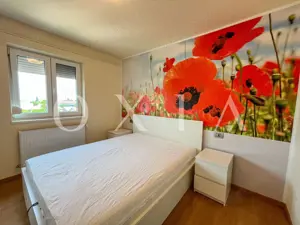 SX567 Take Ionescu, Ideal Investitie - imagine 4