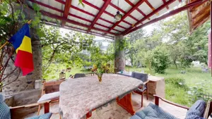 CONACUL GEORGE STEPHANESCU - imagine 18