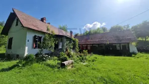 CONACUL GEORGE STEPHANESCU