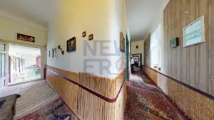 CONACUL GEORGE STEPHANESCU - imagine 15