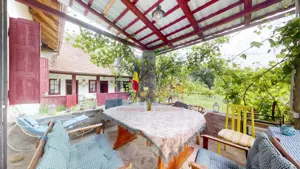 CONACUL GEORGE STEPHANESCU - imagine 17