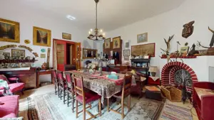 CONACUL GEORGE STEPHANESCU - imagine 9