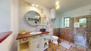 CONACUL GEORGE STEPHANESCU - imagine 12