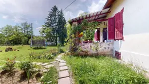 CONACUL GEORGE STEPHANESCU - imagine 13