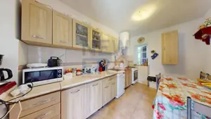 CONACUL GEORGE STEPHANESCU - imagine 14