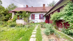 CONACUL GEORGE STEPHANESCU - imagine 10