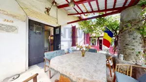 CONACUL GEORGE STEPHANESCU - imagine 6