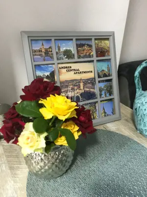 Casa Moderna 2 Camere De Vanzare Curte Proprie, Str Horea, Central - imagine 13