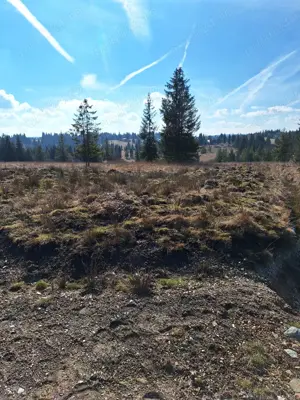 Teren+ loc debarcader - imagine 6