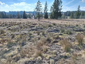 Teren+ loc debarcader - imagine 5