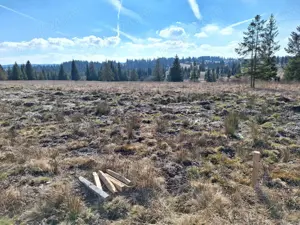 Teren+ loc debarcader - imagine 4