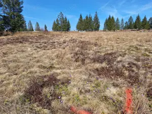 Teren+ loc debarcader - imagine 3