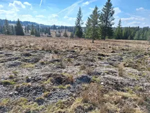 Teren+ loc debarcader - imagine 2