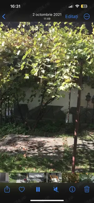 Inchiriere casa Breaza,120 mp,3 dormitoare ,sufragerie baie2 holur i, bucatarie ,centrala gaze ,tera - imagine 9