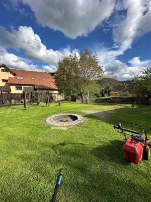 greenscape - întreținere spații verzi, peisagistică, grădinărit - Brasov