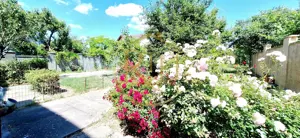 Oferim spre inchiriere, Apartament spatios, 4 camere, pentru locuit sau Firme - imagine 19