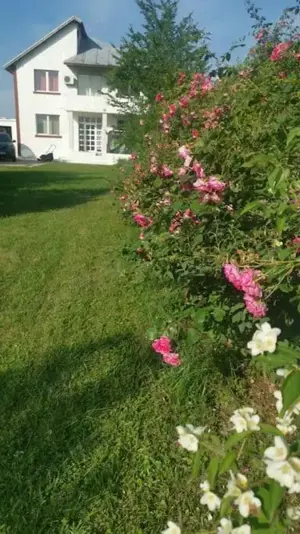 vand   schimb   Vila buftea Calul Balan la lac vis-a-vis mediapro   2000mp  teren