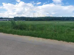 Teren Cerbu - Albota - cu PROIECT CASA si AVIZE