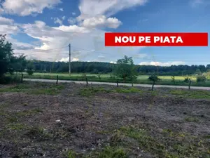 Teren Cerbu - Albota - cu PROIECT CASA si AVIZE  - imagine 3