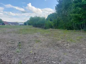 Teren Cerbu - Albota - cu PROIECT CASA si AVIZE  - imagine 8