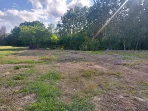 Teren Cerbu - Albota - cu PROIECT CASA si AVIZE  - imagine 5