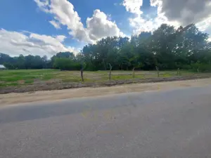 Teren Cerbu - Albota - cu PROIECT CASA si AVIZE  - imagine 7