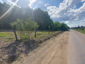 Teren Cerbu - Albota - cu PROIECT CASA si AVIZE  - imagine 4