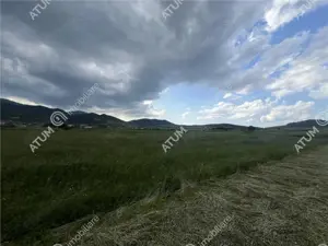 Teren intravilan de 3477 mp cu deschidere de 35 m in Boita - imagine 6