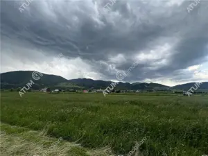 Teren intravilan de 3477 mp cu deschidere de 35 m in Boita - imagine 4