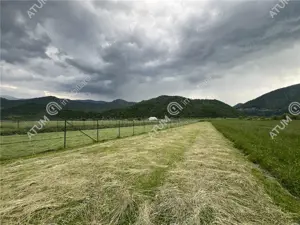 Teren intravilan de 3477 mp cu deschidere de 35 m in Boita - imagine 5