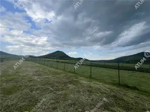 Teren intravilan de 3477 mp cu deschidere de 35 m in Boita - imagine 8