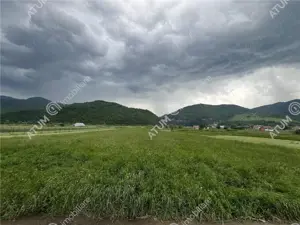 Teren intravilan de 3477 mp cu deschidere de 35 m in Boita