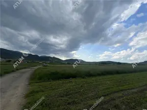 Teren intravilan de 3477 mp cu deschidere de 35 m in Boita - imagine 3