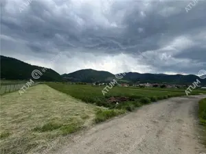 Teren intravilan de 3477 mp cu deschidere de 35 m in Boita - imagine 2