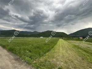 Teren intravilan de 3477 mp cu deschidere de 35 m in Boita - imagine 7