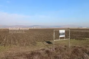 Teren 25.000 Mp-DN 15 Autostrada Transilvania - Mures - imagine 7