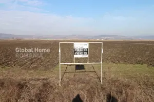 Teren 25.000 Mp-DN 15 Autostrada Transilvania - Mures - imagine 7