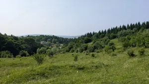 Teren 500 mp, zona verde, 5 minute de centru, ocazie!