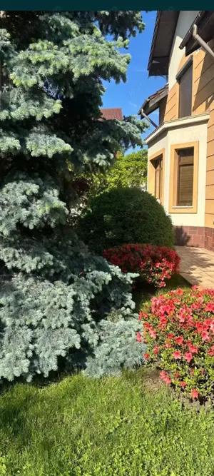 Vand vila strada Trivale, Pitesti, Arges