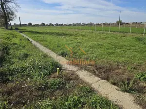 TEREN INTRAVILAN | 1400 MP | GIRISU DE CRIS - imagine 4