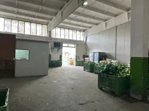 Hala de inchiriat Grădiște/Sere, Arad-761 mp