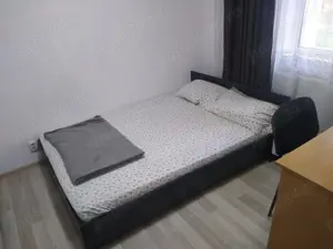 Apartament cu 3 camere de închiriat pe Mărășești - imagine 9