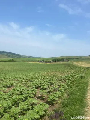 Schimb vand teren Valea Lungă,la 5km de Tătărași