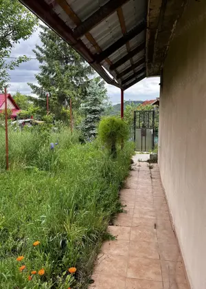 Casa cu teren generos - Podgoria - IMOBIHOR  - imagine 7