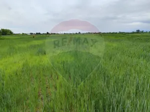 Teren extravilan de vanzare in Ulmeni!