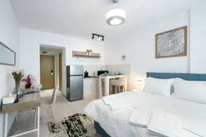Garsoniere 10 proprietati Rin Grand Residence sub contract Airbnb - imagine 6