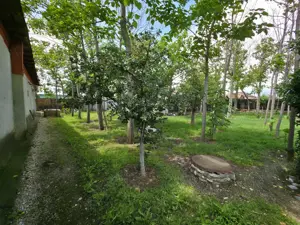 Casa Smardioasa cu Garaj si Curte - Centrul comunei (in Teleorman) - imagine 5