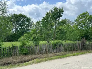 Teren vanzare Brebu - imagine 2